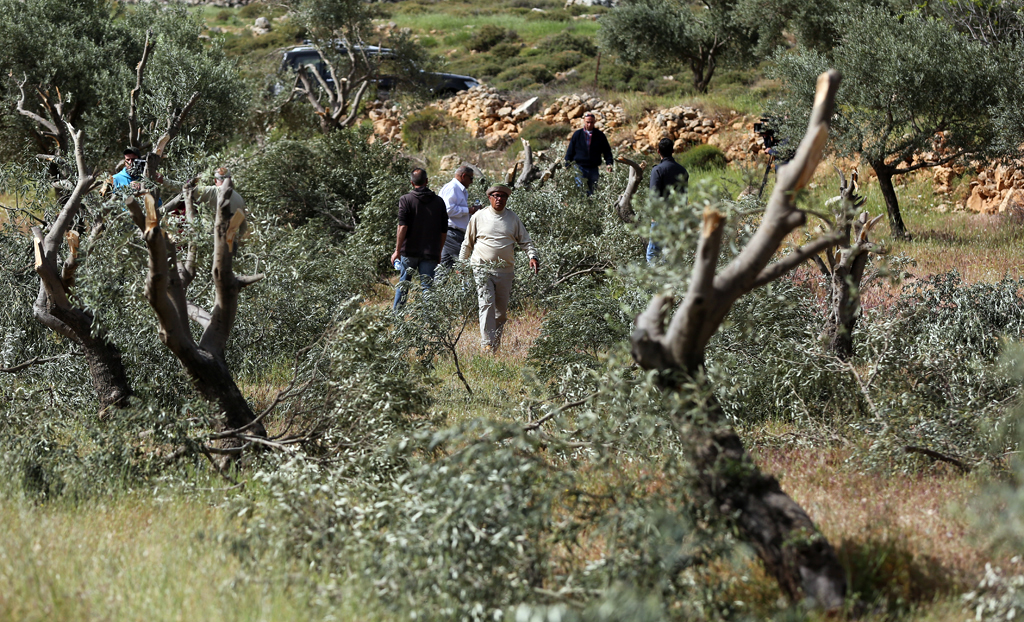 صورة أرشيفية.